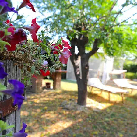 Bed & Breakfast Family Recanati