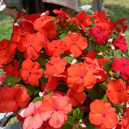 Family Bed & Breakfast