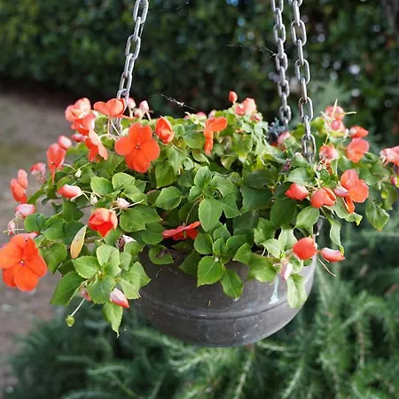 Family Bed & Breakfast